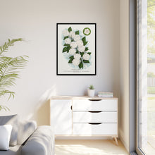 Japanese snowball flower lithograph. Digitally enhanced from our own original 1900 edition plates of Botanical Specimen published by Rochester Lithographing