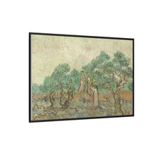 Vincent van Gogh's The Olive Orchard (1889) - NOMADEN ART GALLERY