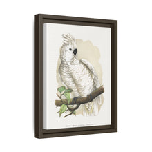 Placa xilográfica coloreada de la cacatúa de cresta blanca (Cacatua alba) de Alexander Francis Lydon