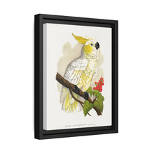 Lesser Lemon-Crested Cockatoo (Cacatua sulphurea) colored wood-engraved plate by Alexander Francis Lydon - NOMADEN ART GALLERY