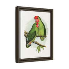 Rosy-Faced Love-Bird (Agapornis roseicollis) colored wood-engraved plate by Alexander Francis Lydon.