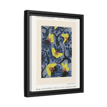 Butterfly pochoir pattern in Art Nouveau oriental style - NOMADEN ART GALLERY