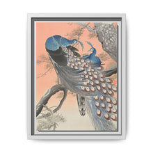 Two peacocks on tree branch (1900 - 1930) by Ohara Koson