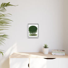 Kilmarnock Weeping Willow tree lithograph. Digitally enhanced from our own original 1900 edition plates of Botanical Specimen published by Rochester Lithographing
