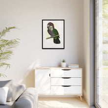 Hawk-Headed Parrot (Deroptyus accipitrinus) colored wood-engraved plate by Alexander Francis Lydon.