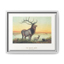 The Wapiti from Zoological sketches (1861-1867) by Joseph Wolf and Philip Lutley Sclater - NOMADEN ART GALLERY