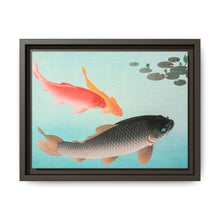 Carpa común y dorada (1935) de Ohara Koson