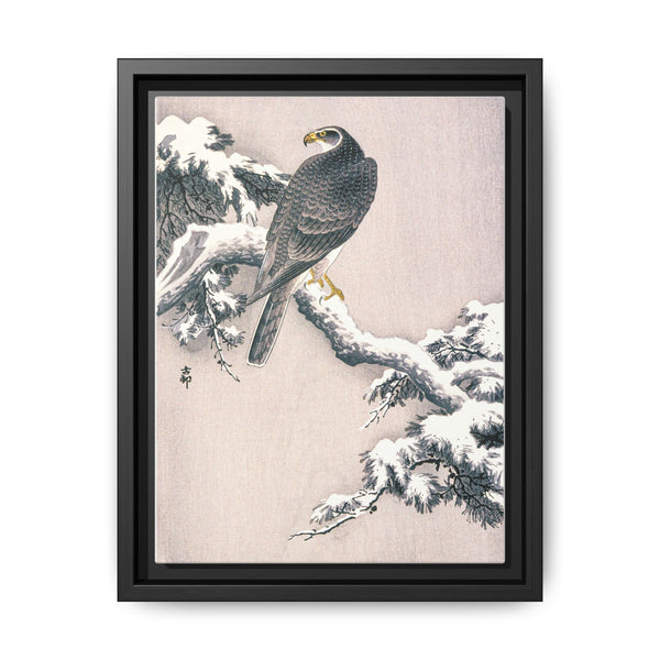 Goshawk on Snow-covered Pine Bough by Ohara Koson (1877–1945)