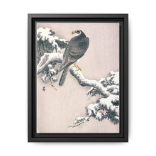 Goshawk on Snow-covered Pine Bough by Ohara Koson (1877–1945) - NOMADEN ART GALLERY