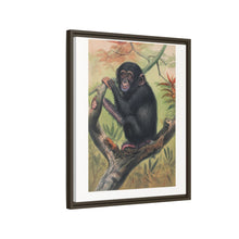 The Chimpanzee from Zoological sketches (1861-1867) by Joseph Wolf and Philip Lutley Sclater.