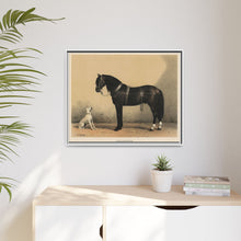 Orloffer (Orloff Horse) by Emil Volkers (1880) - An illustration of a black horse and a white dog - NOMADEN ART GALLERY