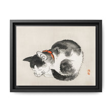 Sleeping cat by Kōno Bairei (1844-1895) - NOMADEN ART GALLERY