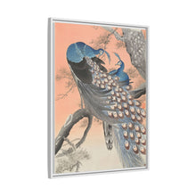 Two peacocks on tree branch (1900 - 1930) by Ohara Koson