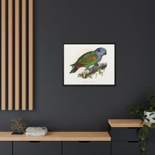 Red-Vented Parrot (Amazona martinicana) colored wood-engraved plate by Alexander Francis Lydon