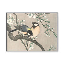 Tits on Cherry Branch (1900–1910) by Ohara Koson