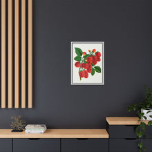 Shaffer's Colossal Raspberry Lithograph (1900)