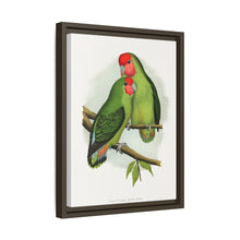 Rosy-Faced Love-Bird (Agapornis roseicollis) colored wood-engraved plate by Alexander Francis Lydon.