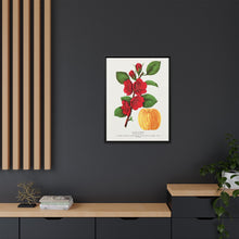 Japan Quince tree lithograph. Digitally enhanced from our own original 1900 edition plates of Botanical Specimen published by Rochester Lithographing