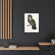 Hawk-Headed Parrot (Deroptyus accipitrinus) colored wood-engraved plate by Alexander Francis Lydon.