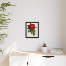 Red rose, Alfred Colomb lithograph. Digitally enhanced from our own original 1900 edition plates of Botanical Specimen published by Rochester Lithographing
