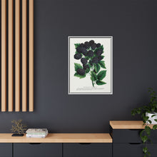 Wachusett Blackberry Lithograph | Vintage Botanical Wall Art