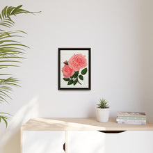 Pink Rose, La France Lithograph (1900)