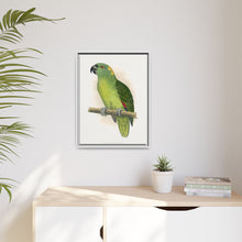 Lydon's Yellow-Naped Amazon | Vintage Parrot Wall Art Print