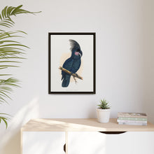 Great Black Cockatoo (Probosciger aterrimus) colored wood-engraved plate by Alexander Francis Lydon