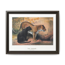 The Leopard from Zoological sketches (1861-1867) by Joseph Wolf and Philip Lutley Sclater - NOMADEN ART GALLERY