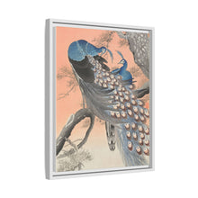 Two peacocks on tree branch (1900 - 1930) by Ohara Koson