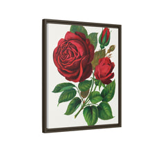 Red Rose, Prince Camille De Rohan Lithograph