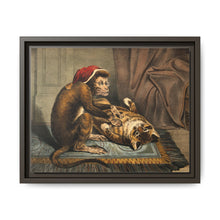 A monkey physician examining a cat patient for fleas. Coloured lithograph - NOMADEN ART GALLERY