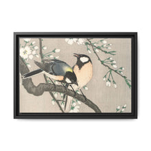 Tits on Cherry Branch (1900–1910) by Ohara Koson