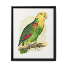 Double-Fronted or Le Vaillant's Amazon (Amazona oratrix) colored wood-engraved plate by Alexander Francis Lydon. - NOMADEN ART GALLERY
