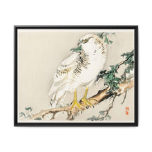 Northern mockingbird by Kōno Bairei (1844-1895) - NOMADEN ART GALLERY