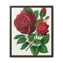 Red Rose, Prince Camille De Rohan Lithograph - NOMADEN ART GALLERY
