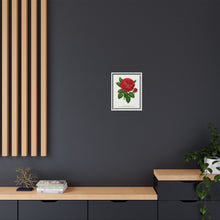 Red rose, General Jacquemont flower lithograph. Digitally enhanced from our own original 1900 edition plates of Botanical Specimen published by Rochester Lithographing