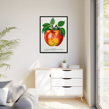 Wolf River Apple Lithograph | Vintage Botanical Wall Art Print