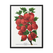 Industry Gooseberry lithograph. Digitally enhanced from our own original 1900 edition plates of Botanical Specimen published by Rochester Lithographing - NOMADEN ART GALLERY