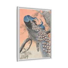 Two peacocks on tree branch (1900 - 1930) by Ohara Koson