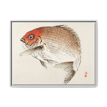 Tai (Red Seabream) fish by Kōno Bairei - NOMADEN ART GALLERY