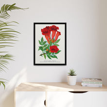 Trumpet flower lithograph. Digitally enhanced from our own original 1900 edition plates of Botanical Specimen published by Rochester Lithographing