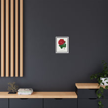 Red rose, American Beauty lithograph. Digitally enhanced from our own original 1900 edition plates of Botanical Specimen published by Rochester Lithographing