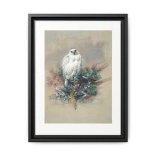 The Greenland Falcon from Zoological sketches (1861-1867) by Joseph Wolf and Philip Lutley Sclater - NOMADEN ART GALLERY