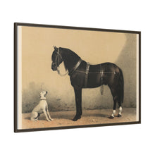 Orloffer (Orloff Horse) by Emil Volkers (1880) - An illustration of a black horse and a white dog - NOMADEN ART GALLERY
