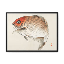 Tai (Red Seabream) fish by Kōno Bairei - NOMADEN ART GALLERY