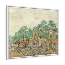 The Olive Orchard (1889) by Vincent van Gogh. Original from The National Gallery of Art. - NOMADEN ART GALLERY