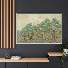 Vincent van Gogh's The Olive Orchard (1889) - NOMADEN ART GALLERY