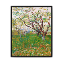 The Flowering Orchard (1888) by Vincent Van Gogh - NOMADEN ART GALLERY