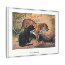 The Leopard from Zoological sketches (1861-1867) by Joseph Wolf and Philip Lutley Sclater